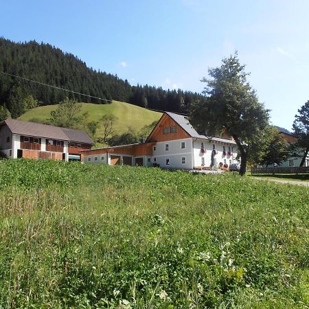 Huberbauer Villa Johnsbach Exterior photo