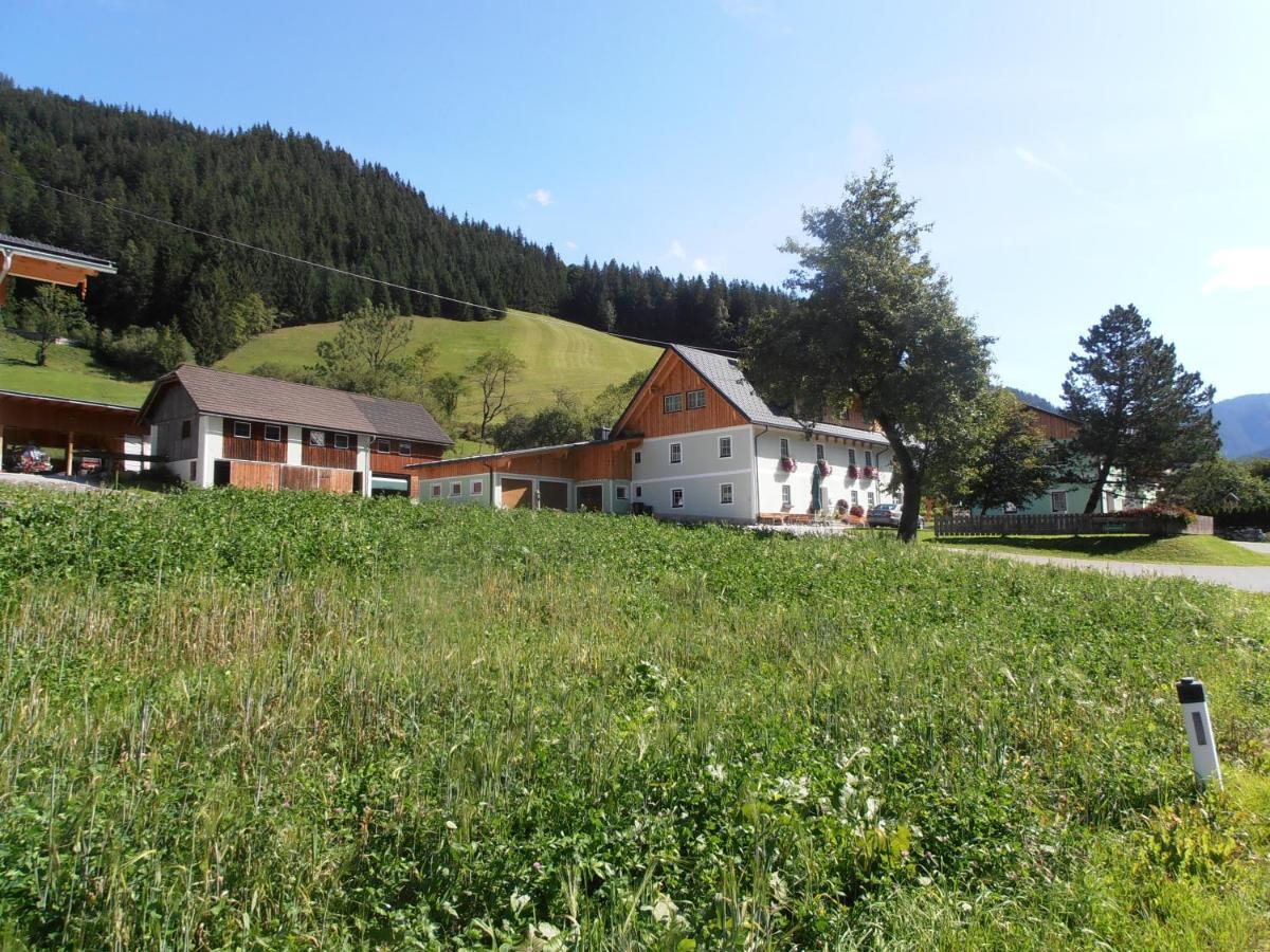 Huberbauer Villa Johnsbach Exterior photo