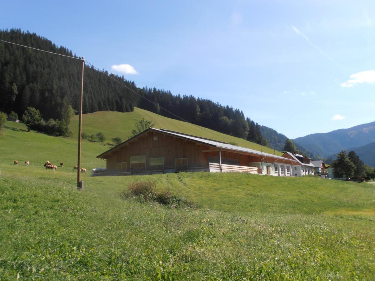 Huberbauer Villa Johnsbach Exterior photo